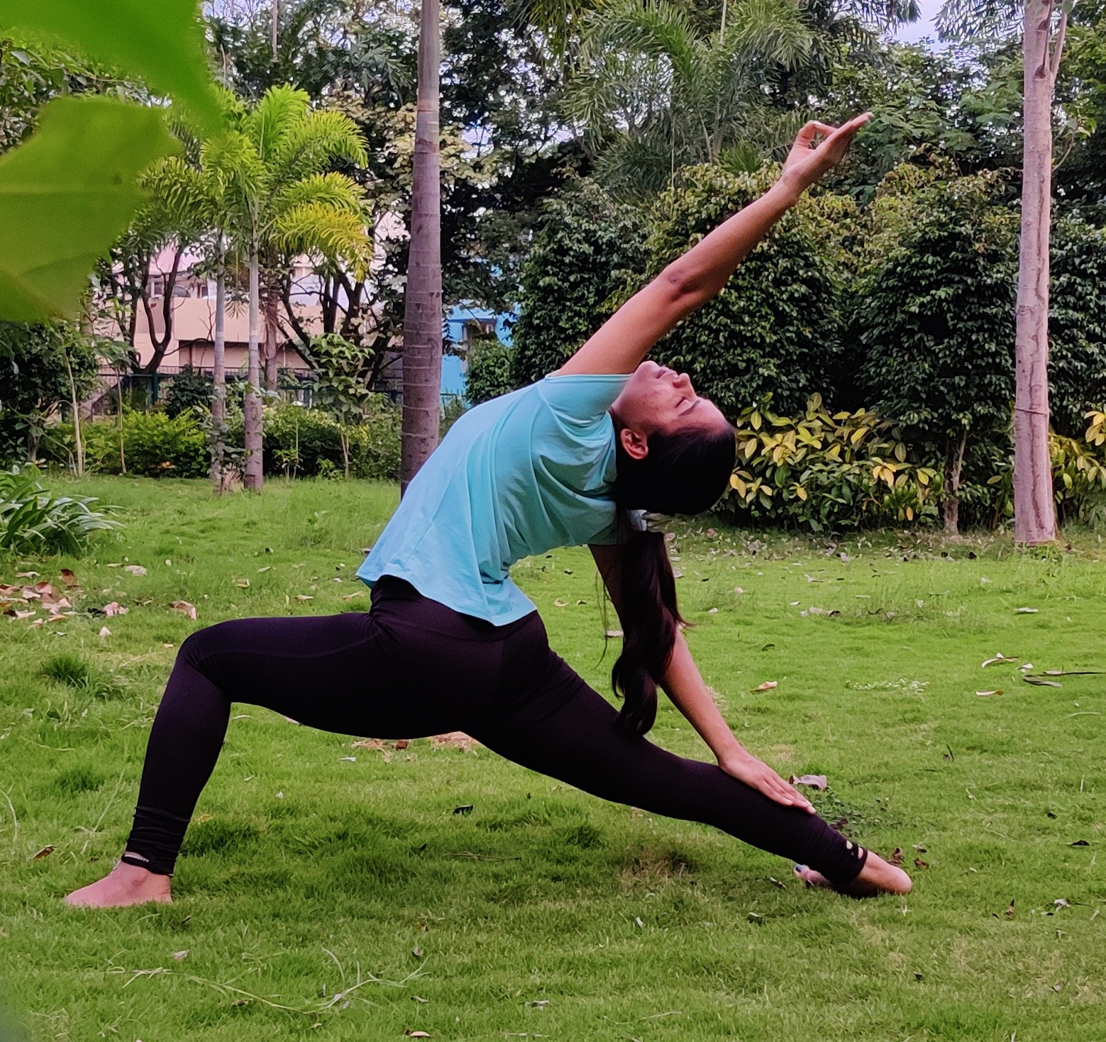 Yoga /Training Poses